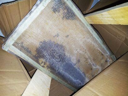 南京機場安檢機檢測查堵千余只小蜜蜂